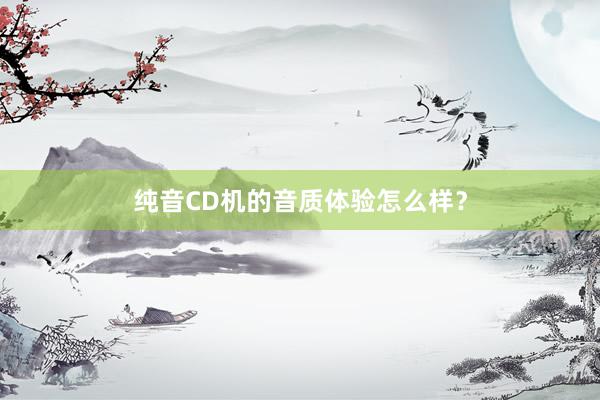 纯音CD机的音质体验怎么样？